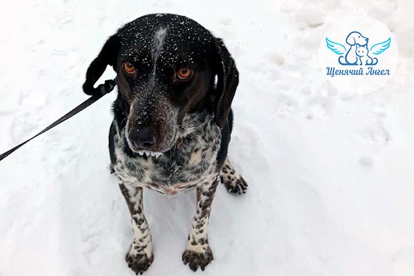 ФД_2026-03-19_Спотти_3x2