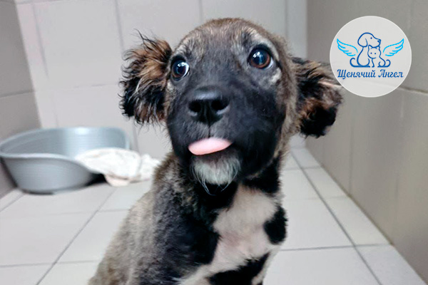 ФД_2026-03-20_Лея_3x2