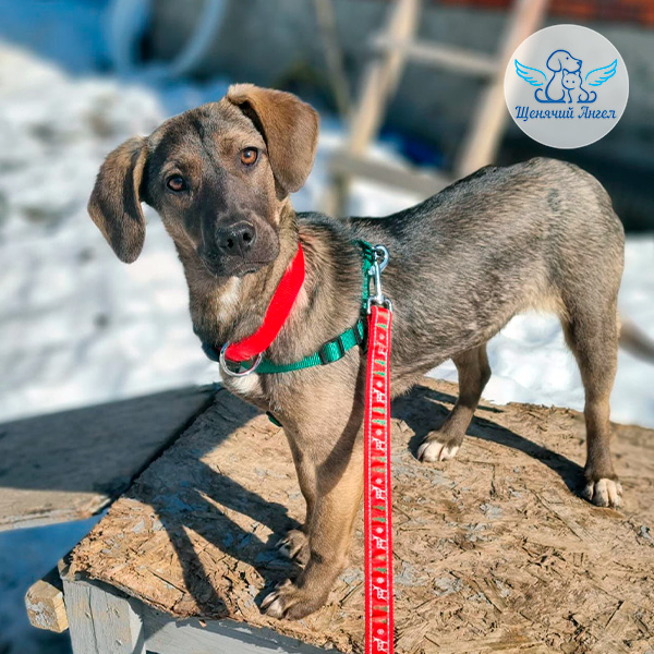 Пэм встречает свою первую весну