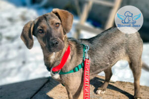 Пэм встречает свою первую весну