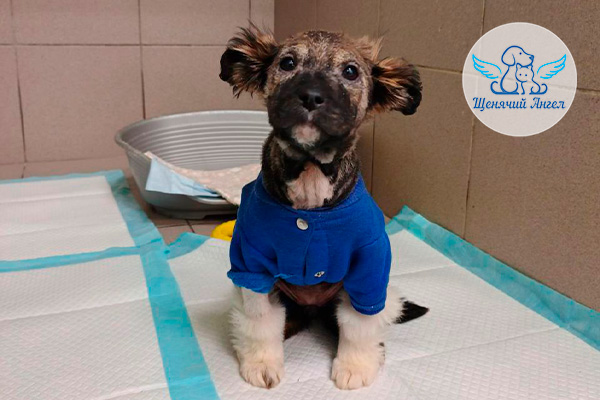 Н_2026-03_04_Лея_3x2 Н_2026-03_04_Лея_3x2