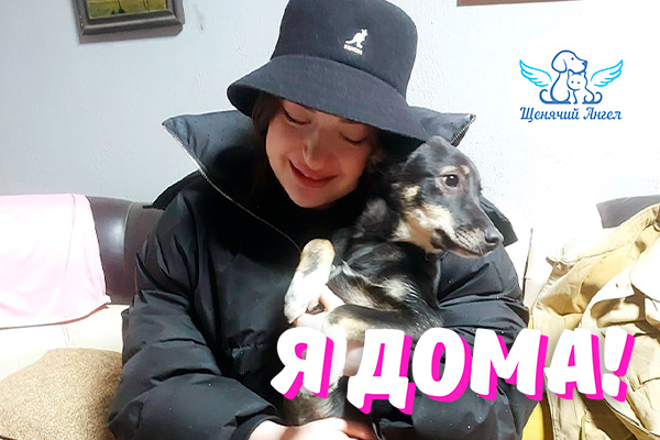 Н_2026-03_05_Синди_Я_Дома_3x2