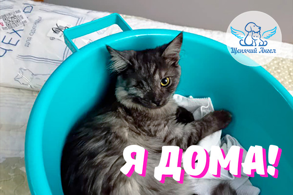 Н_2026-03_09_Смоки_Я_Дома_3x2 Н_2026-03_09_Смоки_Я_Дома_3x2