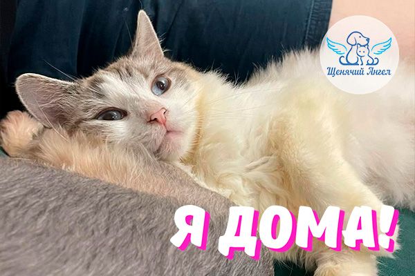 Н_2026-03_10_Скай_Я_Дома_3x2(1)