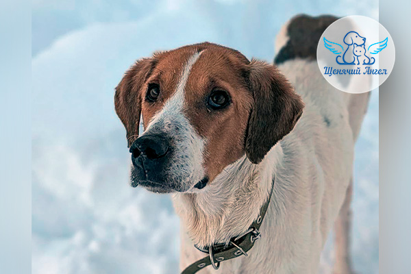 Н_2026-03_12_Линда_3x2