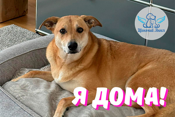 Н_2026-03_18_Николь_Я_Дома_3x2