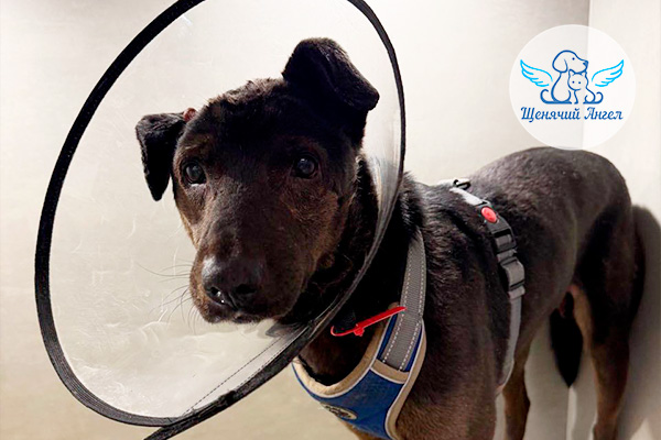 Н_2026-03_19_Яша_3x2