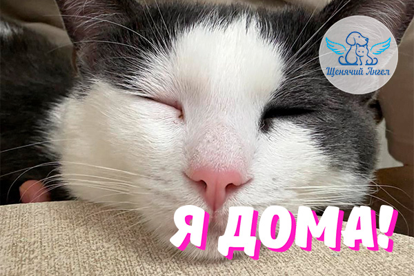 Н_2026-03_26_Кнопка_Я_Дома_3x2 Н_2026-03_26_Кнопка_Я_Дома_3x2