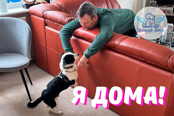 Арчи – Я Дома