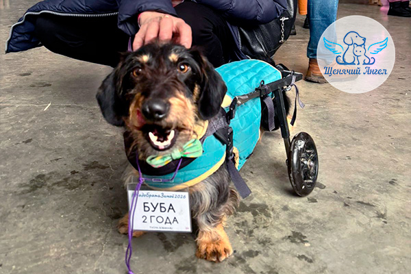 ЖП_2026-03_04_Буба_и_Маришка_3x2 ЖП_2026-03_04_Буба_и_Маришка_3x2