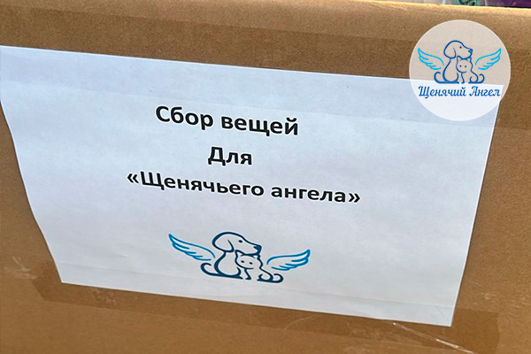 ЖП_2026-03_10_Подарки_3x2