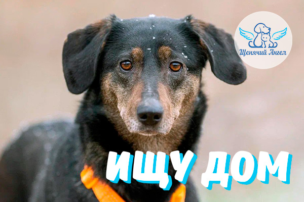 ЖП_2026-03_11_Гера_Ищу_Дом_3x2