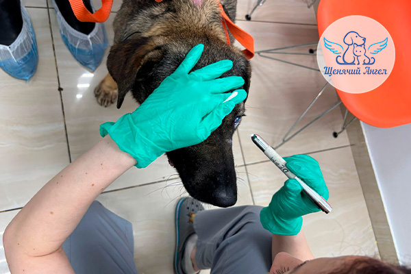 ЖП_2026-03_19_Юкка_3x2