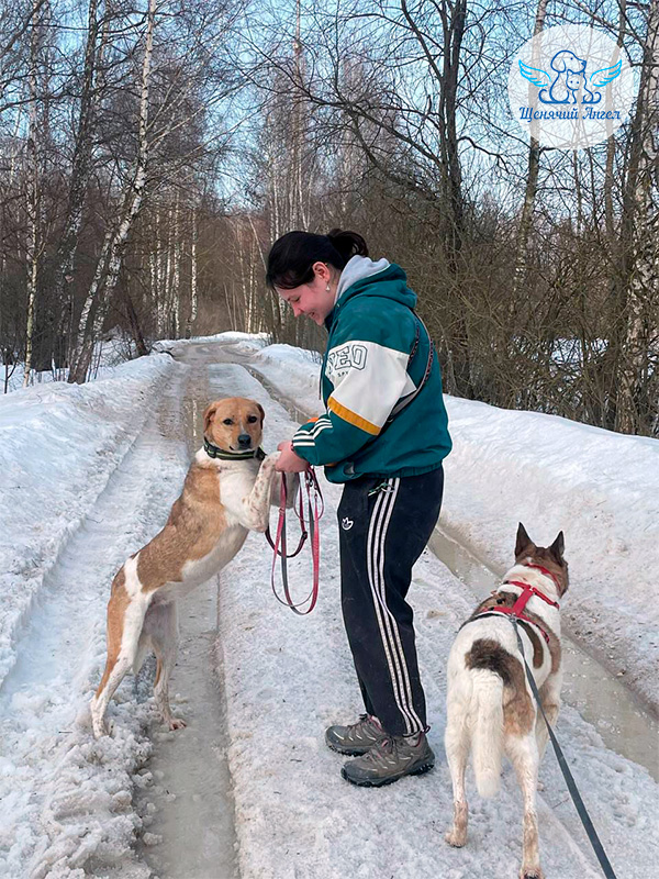 Фото дня 10.04.2026: Дина – прилежная ученица