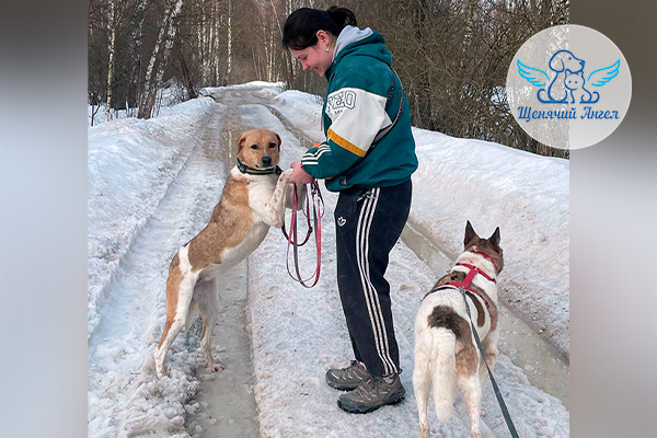 ФД_2026-04-10_Дина_3x2 Фото дня 10.04.2026: Дина – прилежная ученица