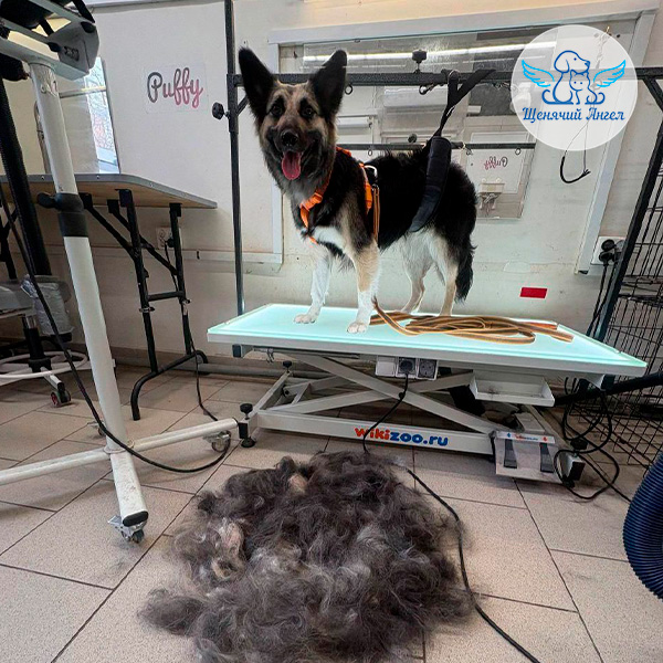 Фото дня 13.04.2026: Фея и её весеннее преображение