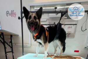 Фото дня 13.04.2026: Фея и её весеннее преображение