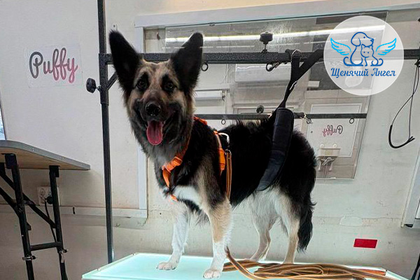 Фото дня 13.04.2026: Фея и её весеннее преображение