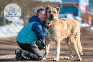 Добрый богатырь