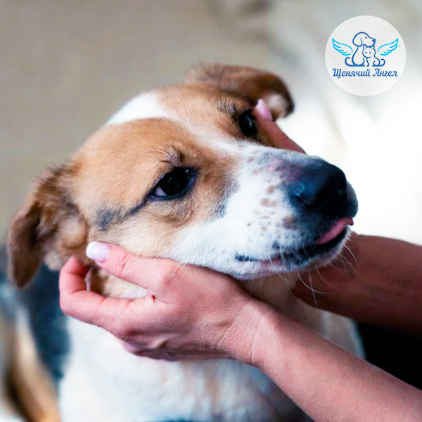 Солнышко с характером