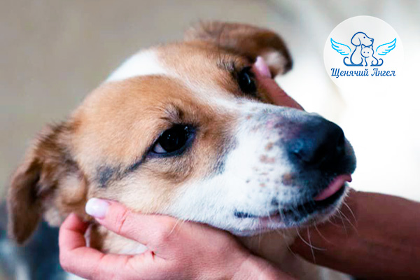 Солнышко с характером