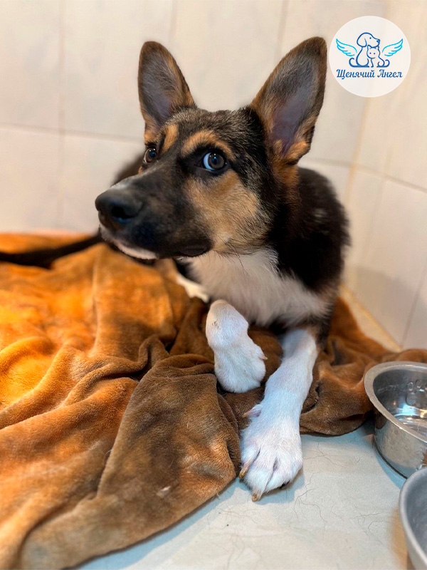 Фото дня 21.04.2026: Привет от малыша Айка