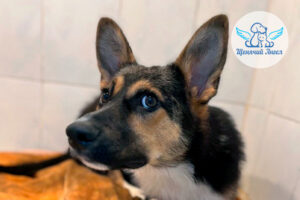 Фото дня 21.04.2026: Привет от малыша Айка