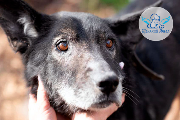 Фото дня 21.04.2026: Тихая жизнь Перчика