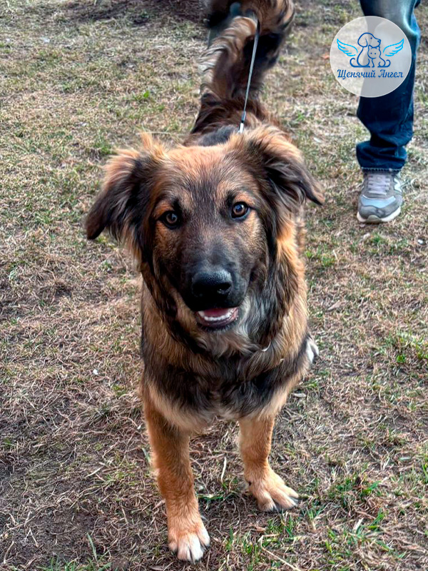 Фото дня 24.04.2026: Домашняя подготовка Кики