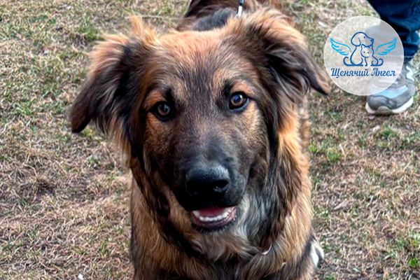 Фото дня 24.04.2026: Домашняя подготовка Кики