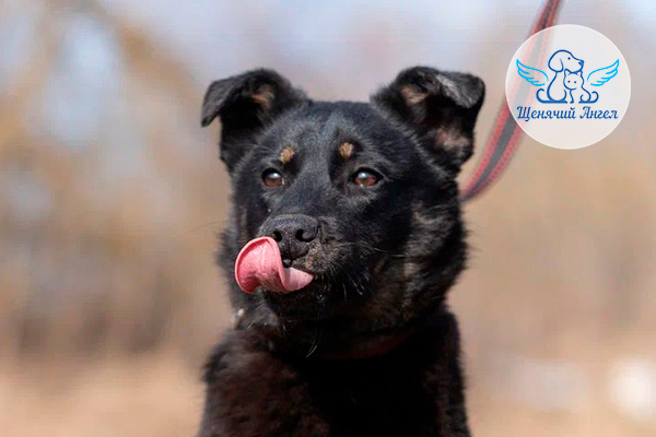 ФД_2026-04-29_Римус_3x2