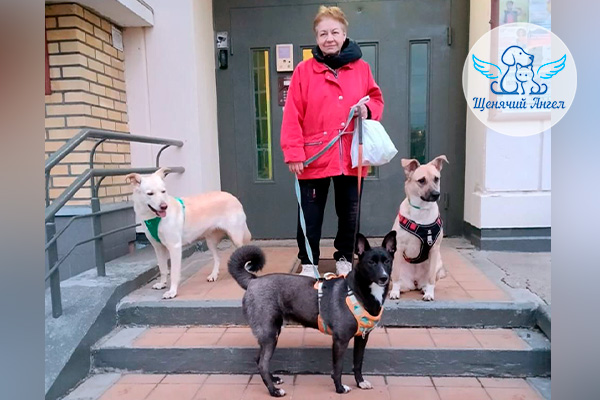 ФД_2026-04-30_Релли_Жученька_Беляна_3x2