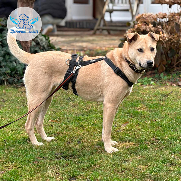 Керри – Я Дома