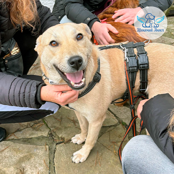 Керри – Я Дома