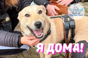 Керри – Я Дома