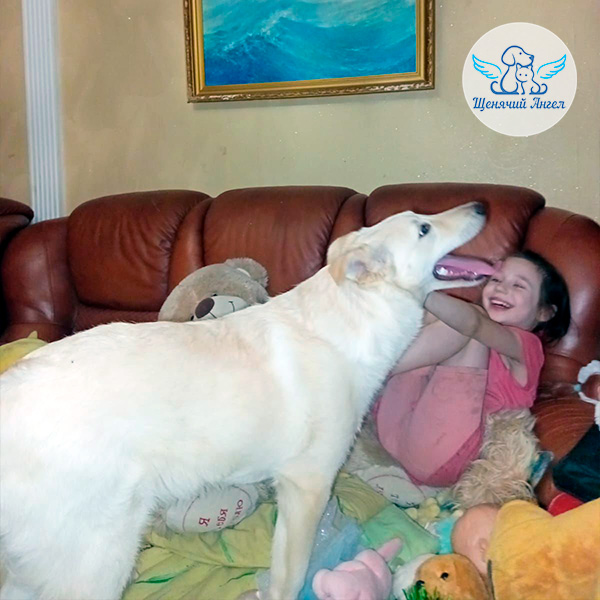 Айсик, очаровательный малыш мамы Умки – Дома