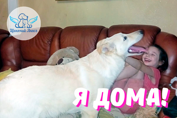 Н_2026-04_08_Айсик_Я_Дома_3x2 Айсик, очаровательный малыш мамы Умки – Дома