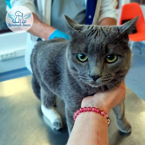 Туман перенёс операцию на сустав