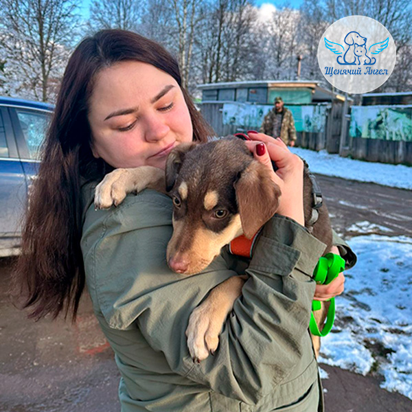 Верба – Я Дома