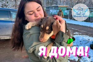 Верба – Я Дома