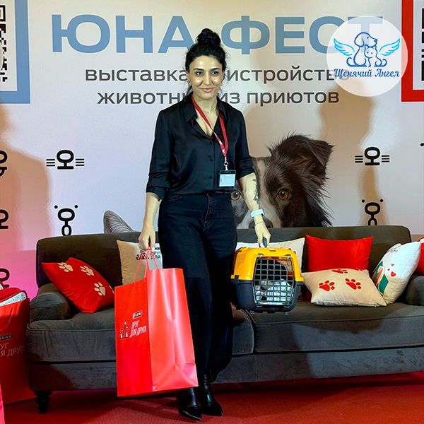 Кот Джокер – Я Дома