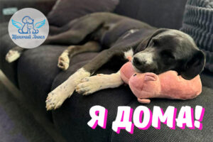 Мона – Я Дома