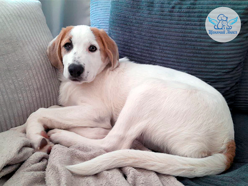 Новость 23.04.2026: Мелисса – Я Дома