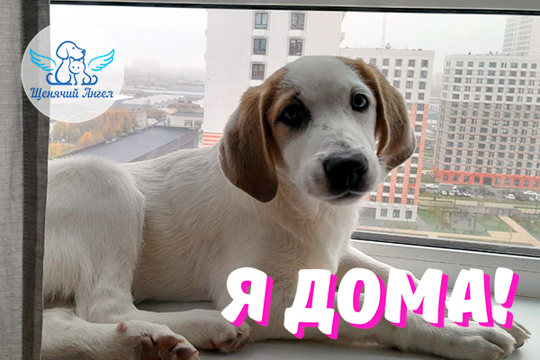 Новость 23.04.2026: Мелисса – Я Дома