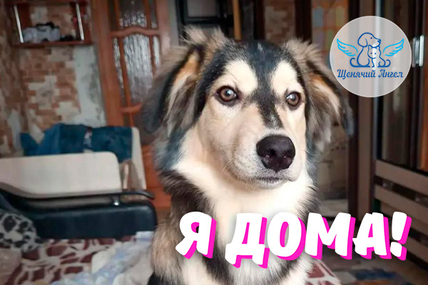 Н_2026-04_25_Клаус_Я_Дома_3x2