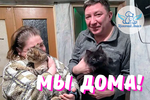 Н_2026-04_26_Марсель_и_Ирис_Дома_3x2