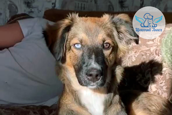 Н_2026-04_30_Кетти_Я_Дома_3x2(1)