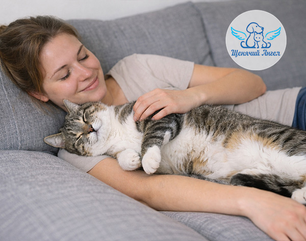 Психология кошек: как они относятся к своим хозяевам