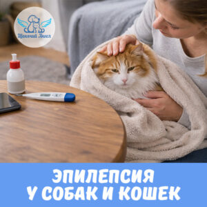 Эпилепсия у собак и кошек
