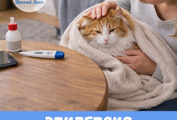 Эпилепсия у собак и кошек